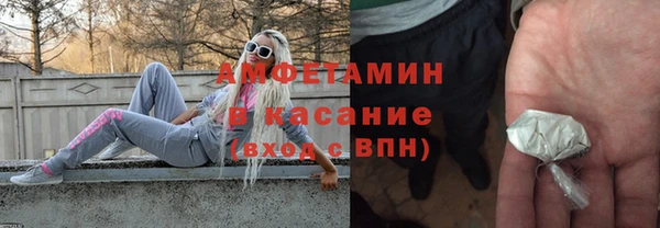прущие грибы Горно-Алтайск