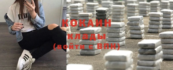 прущие грибы Горно-Алтайск