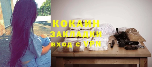 шишки Вязники
