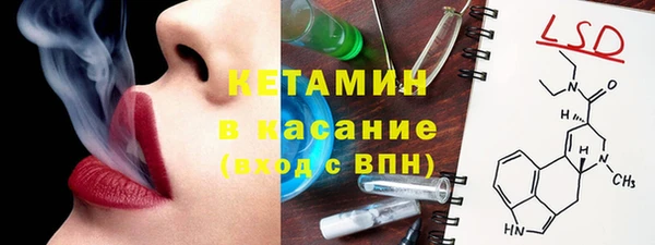 прущие грибы Горно-Алтайск