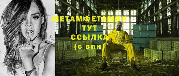 прущие грибы Горно-Алтайск