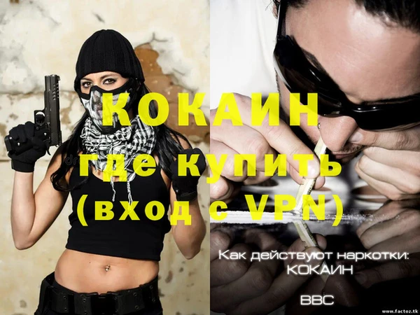 шишки Вязники