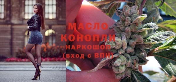 прущие грибы Горно-Алтайск