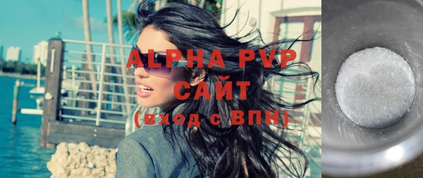 прущие грибы Горно-Алтайск