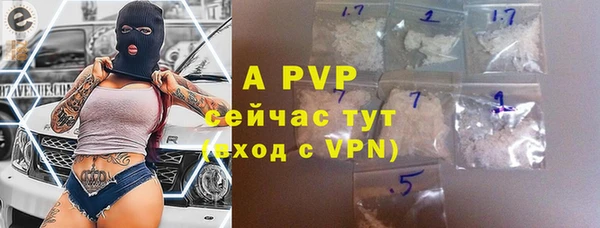 прущие грибы Горно-Алтайск