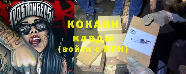 шишки Вязники