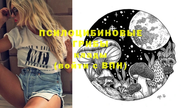прущие грибы Горно-Алтайск