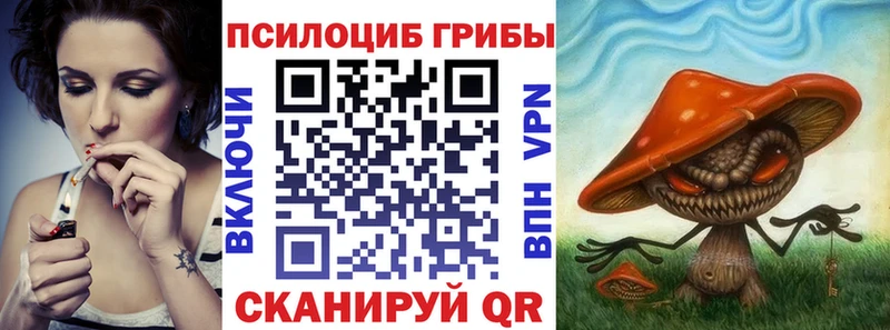 Псилоцибиновые грибы Cubensis  купить закладку  Заводоуковск 