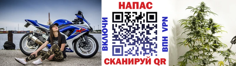 Бошки марихуана White Widow  MEGA зеркало  Заводоуковск 